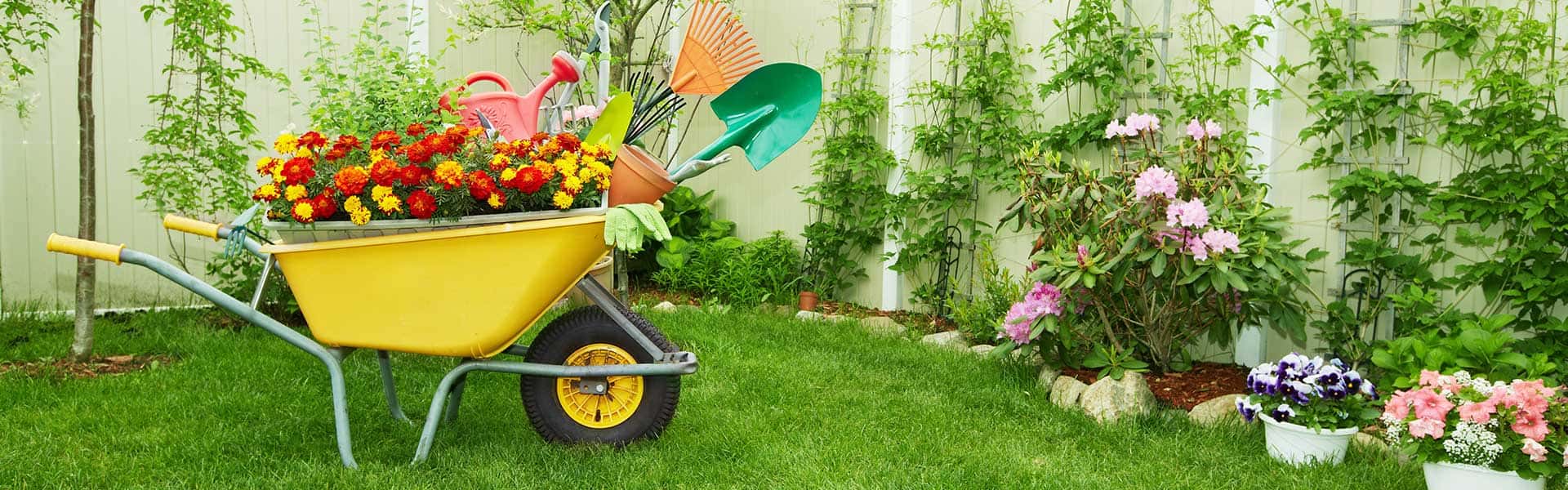 We’ll manage your garden so that you have more free time!