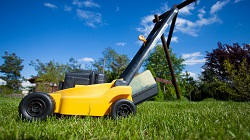 sw7 lawn services south kensington